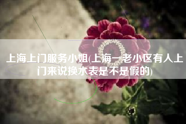 上海上门服务小姐(上海一老小区有人上门来说换水表是不是假的)