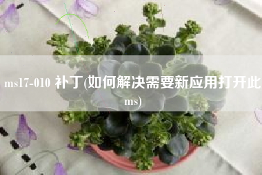 ms17-010 补丁(如何解决需要新应用打开此ms)
