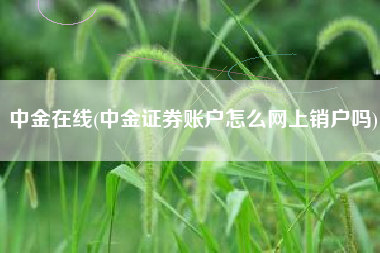 中金在线(中金证券账户怎么网上销户吗)