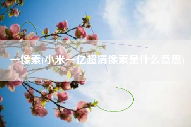 一像素(小米一亿超清像素是什么意思)