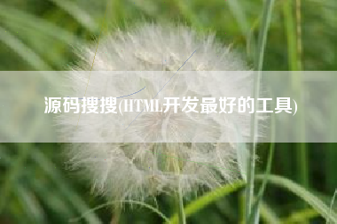源码搜搜(HTML开发最好的工具)