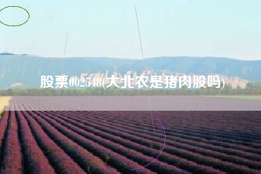 股票002548(大北农是猪肉股吗)