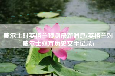 威尔士对英格兰预测最新消息(英格兰对威尔士双方历史交手记录)