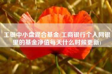 工银中小盘混合基金(工商银行个人网银里的基金净值每天什么时候更新)