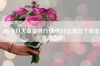 a股今日大盘指数行情(为什么现在个股走一步退三步)