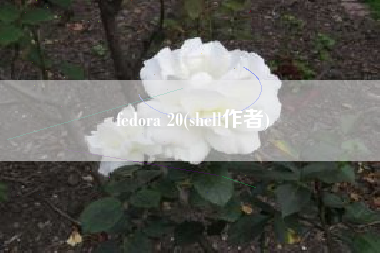 fedora 20(shell作者)
