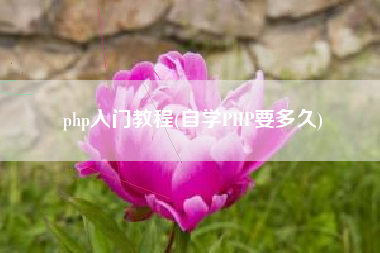 php入门教程(自学PHP要多久)