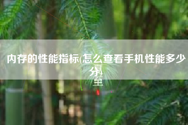 内存的性能指标(怎么查看手机性能多少分)