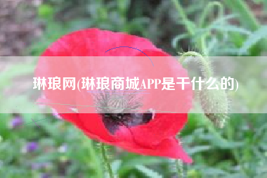琳琅网(琳琅商城APP是干什么的)