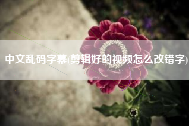 中文乱码字幕(剪辑好的视频怎么改错字)
