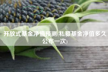 开放式基金净值预测(私募基金净值多久公布一次)