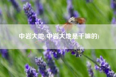 中岩大地(中岩大地是干嘛的)