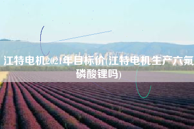 江特电机2021年目标价(江特电机生产六氟磷酸锂吗)