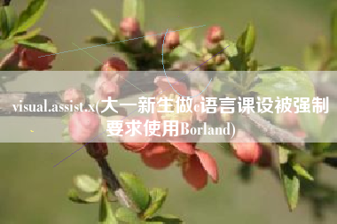visual.assist.x(大一新生做c语言课设被强制要求使用Borland)