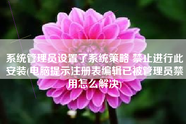 系统管理员设置了系统策略 禁止进行此安装(电脑提示注册表编辑已被管理员禁用怎么解决)
