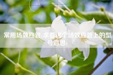 常用场效应管(求看这个场效应管上的型号意思)
