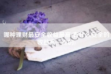 哪种理财最安全收益最高(有什么安全的收益高一点的)
