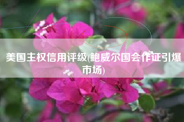 美国主权信用评级(鲍威尔国会作证引爆市场)