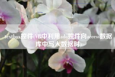 textbox控件(VB中利用ado控件向access数据库中写入数据时)