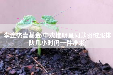 李连杰壹基金(中戏推明星同款羽绒服排队几小时仍一件难求)