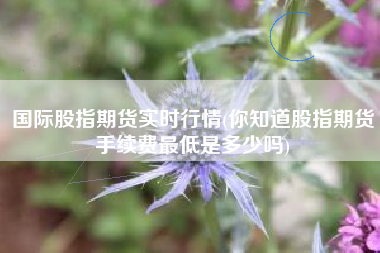 国际股指期货实时行情(你知道股指期货手续费最低是多少吗)
