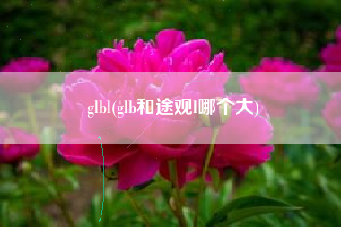 glbl(glb和途观l哪个大)