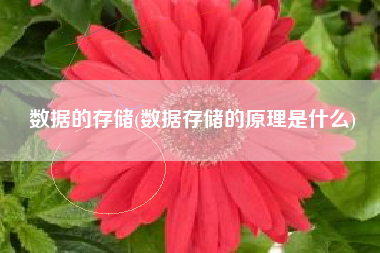 数据的存储(数据存储的原理是什么)
