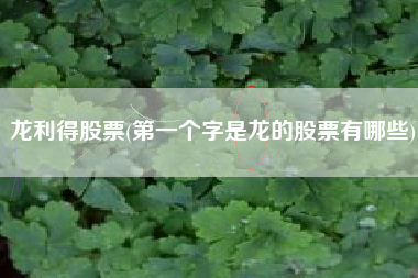 龙利得股票(第一个字是龙的股票有哪些)
