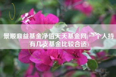 景顺鼎益基金净值天天基金网(一个人持有几支基金比较合适)
