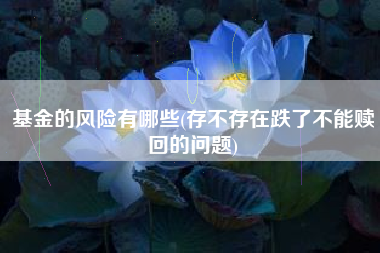 基金的风险有哪些(存不存在跌了不能赎回的问题)