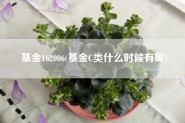 基金162006(基金C类什么时候有呢)