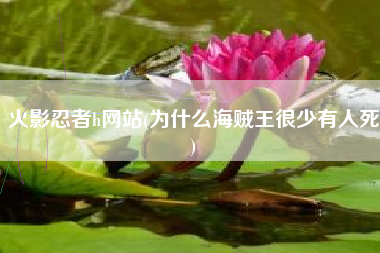 火影忍者h网站(为什么海贼王很少有人死)
