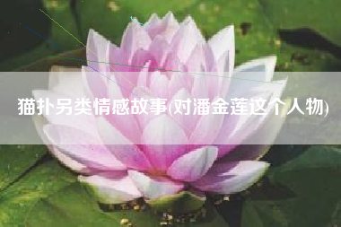猫扑另类情感故事(对潘金莲这个人物)