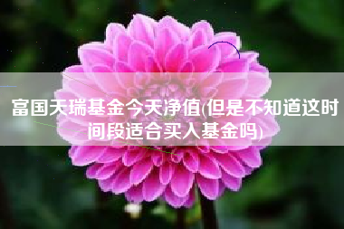 富国天瑞基金今天净值(但是不知道这时间段适合买入基金吗)