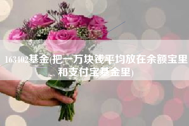 163402基金(把一万块钱平均放在余额宝里和支付宝基金里)