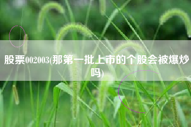 股票002003(那第一批上市的个股会被爆炒吗)