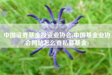 中国证券基金投资业协会(中国基金业协会网站怎么查私募基金)