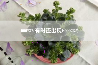 000732(有时还出现E000732)