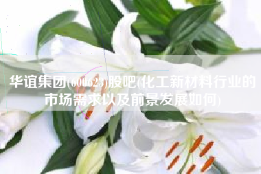 华谊集团(600623)股吧(化工新材料行业的市场需求以及前景发展如何)