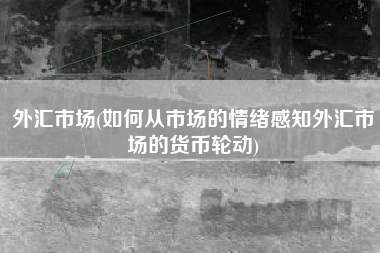 外汇市场(如何从市场的情绪感知外汇市场的货币轮动)