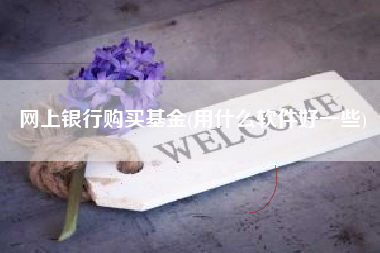 网上银行购买基金(用什么软件好一些)