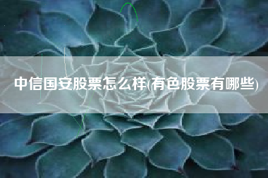 中信国安股票怎么样(有色股票有哪些)