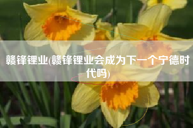 赣锋锂业(赣锋锂业会成为下一个宁德时代吗)