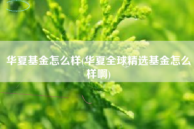 华夏基金怎么样(华夏全球精选基金怎么样啊)