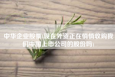 中华企业股票(现在外资正在悄悄收购我们中国上市公司的股份吗)