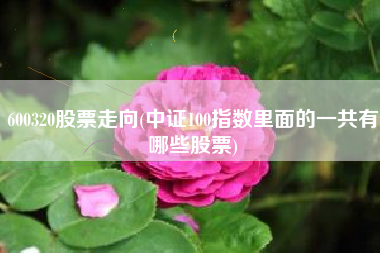 600320股票走向(中证100指数里面的一共有哪些股票)