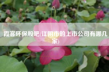 霞客环保股吧(江阴市的上市公司有哪几家)