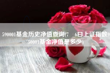 590001基金历史净值查询(7冃6曰上证指数950001基金净值是多少)