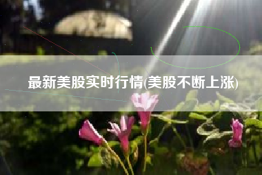 最新美股实时行情(美股不断上涨)