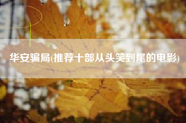 华安骗局(推荐十部从头笑到尾的电影)